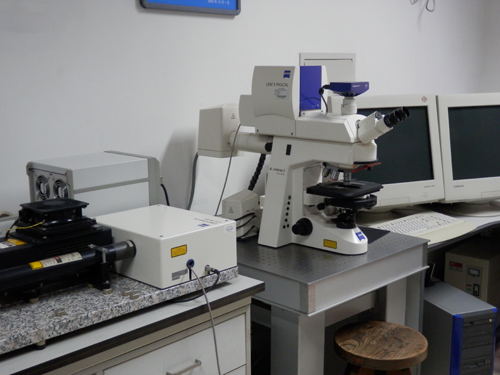 P1010077.jpg
